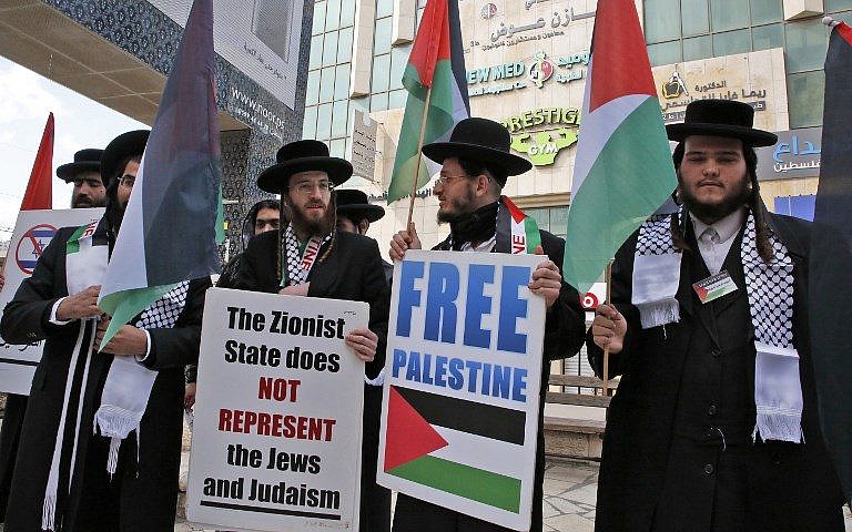 jews-not-zionists.gif